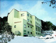 Cedarwood Apartments - Kingaroy Accommodation 0