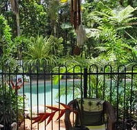 Daintree Rainforest Retreat Motel - Kingaroy Accommodation