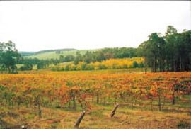 Yabberup WA Kingaroy Accommodation