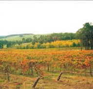 Byramgou Park - Kingaroy Accommodation