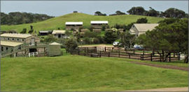 Cape Schanck VIC Kingaroy Accommodation