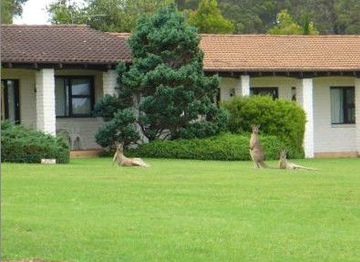 The Oaks Ranch & Country Club - Kingaroy Accommodation 1
