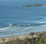 Beach Haven Apartments