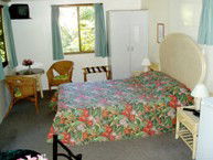 Kuranda Rainforest Accommodation Park - Kingaroy Accommodation 2
