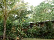 Kuranda Rainforest Accommodation Park - Kingaroy Accommodation 3