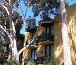 Pathfinder Motel - Kingaroy Accommodation 1