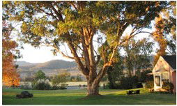 Belltrees Country House - Kingaroy Accommodation 2