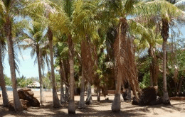 King Sound Resort Hotel - Kingaroy Accommodation