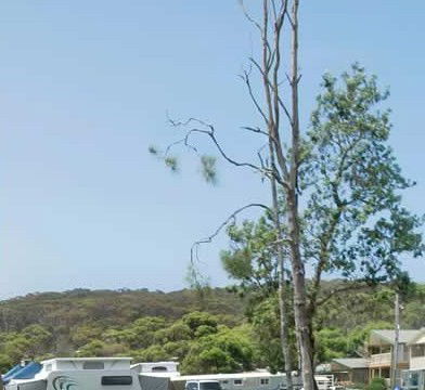 Merry Beach Caravan Park - Kingaroy Accommodation 2