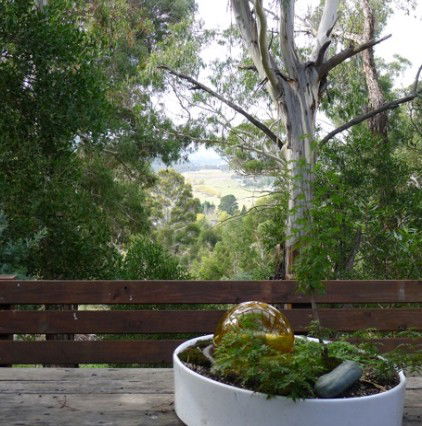 Pilot Wilderness NSW Kingaroy Accommodation