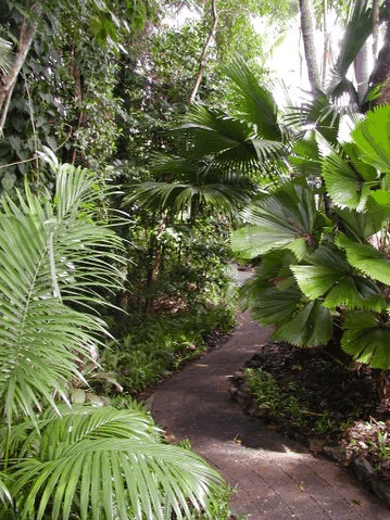 Rainforest Grove Holiday Resort - Kingaroy Accommodation 1