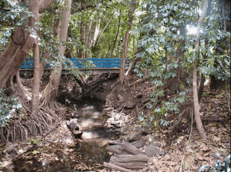 Rainforest Grove Holiday Resort - Kingaroy Accommodation 3