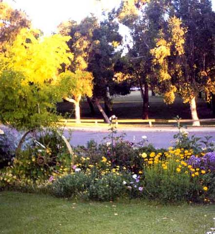 Parkside Bed And Breakfast - Kingaroy Accommodation 1