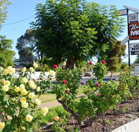 Narrogin Motel - Kingaroy Accommodation
