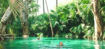 Mataranka Homestead Motel - Kingaroy Accommodation 1