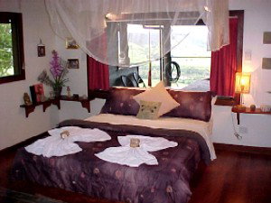 Daintree Cloud 9 - Kingaroy Accommodation 0