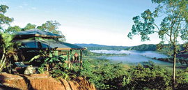 Daintree Cloud 9 - Kingaroy Accommodation 1