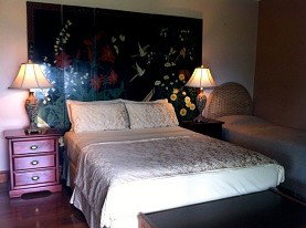 Daintree Manor - Kingaroy Accommodation 0