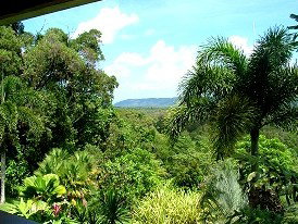 Daintree Manor - Kingaroy Accommodation 3