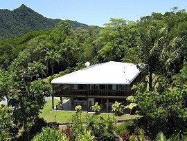 Daintree Manor - Kingaroy Accommodation 4