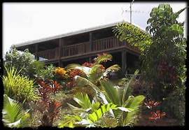 Daintree Manor - Kingaroy Accommodation 5