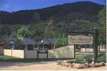 The Silver Birches Holiday Village - Kingaroy Accommodation 0