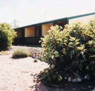 The Fig Tree Bed  Breakfast - Kingaroy Accommodation