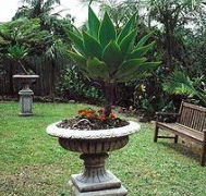 Bangalow Retreat - Kingaroy Accommodation