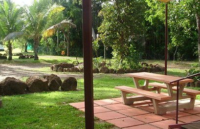 Virginia Heliconia Farm - Kingaroy Accommodation 0