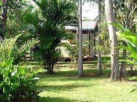 Virginia Heliconia Farm - Kingaroy Accommodation 3