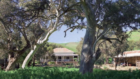 Brooklyn Farm Bed And Breakfast - Kingaroy Accommodation 0