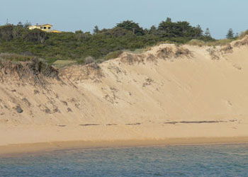 Ark Bed And Breakfast - Kingaroy Accommodation 1