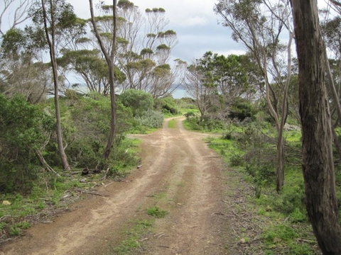 Wallaby Beach House - Kingaroy Accommodation 3