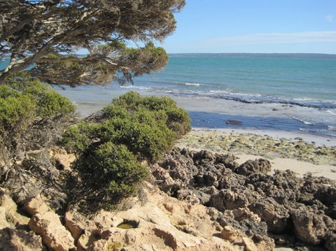Wallaby Beach House - Kingaroy Accommodation 4