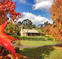 Adelaide Hills Country Cottages - Lavender Fields - Kingaroy Accommodation
