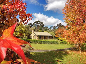 Adelaide Hills Country Cottages - Lavender Fields - Kingaroy Accommodation 0