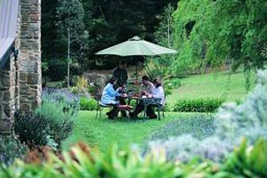 Adelaide Hills Country Cottages - Lavender Fields - Kingaroy Accommodation 2