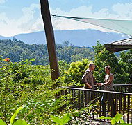 Rose Gums Wilderness Retreat - Kingaroy Accommodation