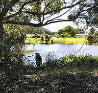 Newry Park Cottage - Kingaroy Accommodation