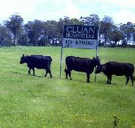 Cluan Homestead - The Managers Residence - Kingaroy Accommodation
