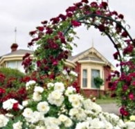 Golden Embers Apartments and B and B - Kingaroy Accommodation