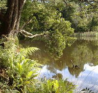 Weldborough Camping Ground - Kingaroy Accommodation