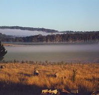 Fonthill - Kingaroy Accommodation