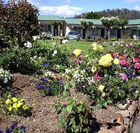 Wintersun Gardens Motel - Kingaroy Accommodation