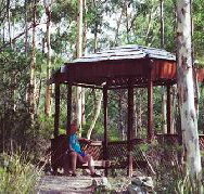 Telopea - Kingaroy Accommodation