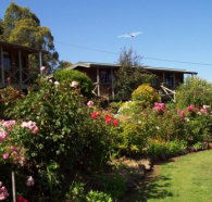 Mole Creek Holiday Village - Kingaroy Accommodation