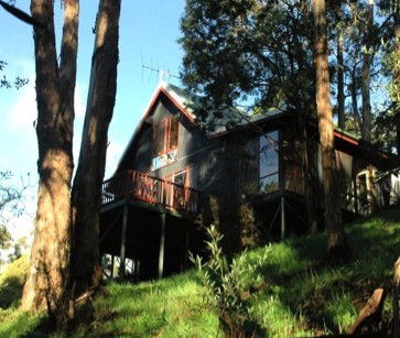 Tree Tops Cascades - Kingaroy Accommodation 2
