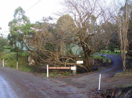 Eaglehawk Neck Backpackers - Kingaroy Accommodation 1