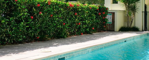 Cairns Beachfront Apartment - Kingaroy Accommodation 5