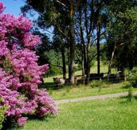 Figlea Cottages - Kingaroy Accommodation